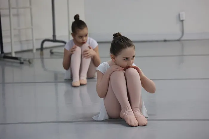 Logrea Dance Academy Picture 4