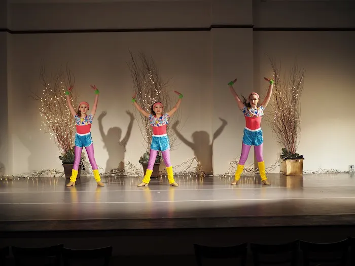 The Dance Conservatory Picture 1
