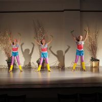 The Dance Conservatory ico