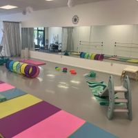 Expression Dance & Wellness ico