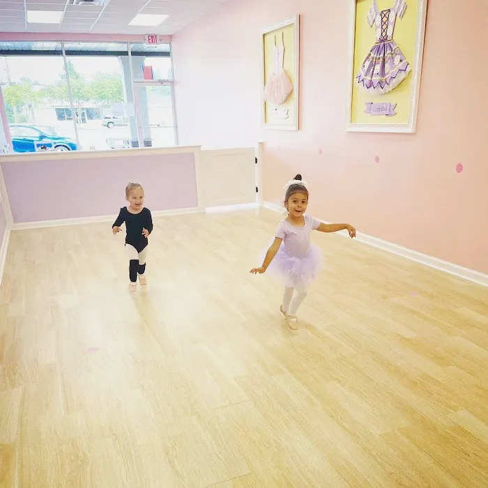 Tutu School Commack Picture 6
