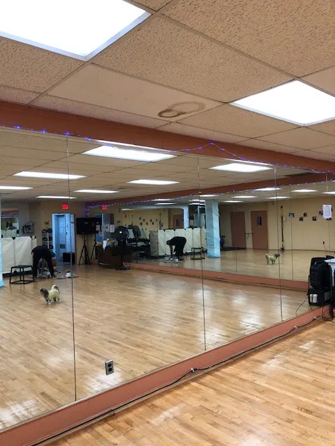 Maria Fioras Dance Studio Picture 6
