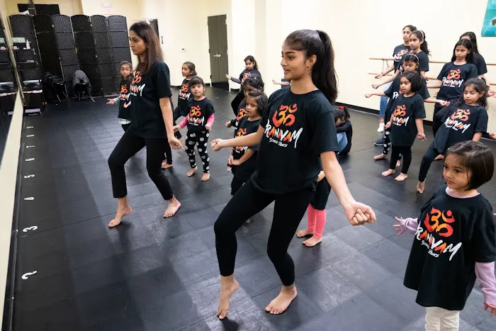 Pranavam School of Dance Picture 6