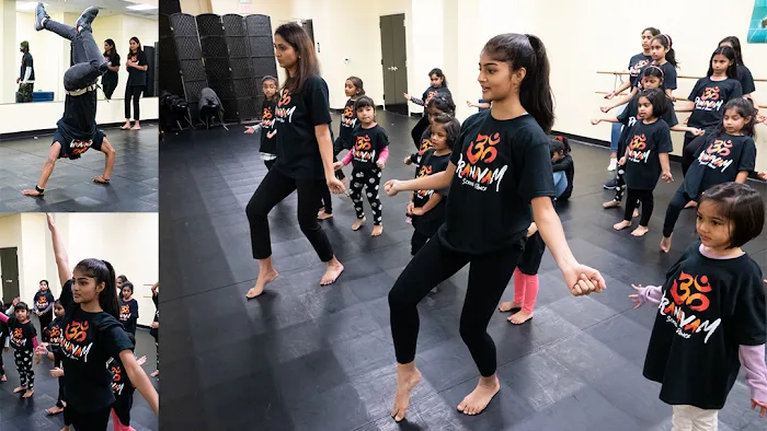 Pranavam School of Dance Picture 10