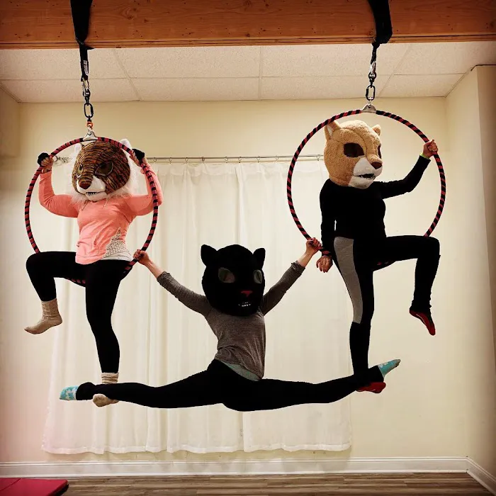Lovely Lioness Pole Dance & Aerial Fitness Picture 4