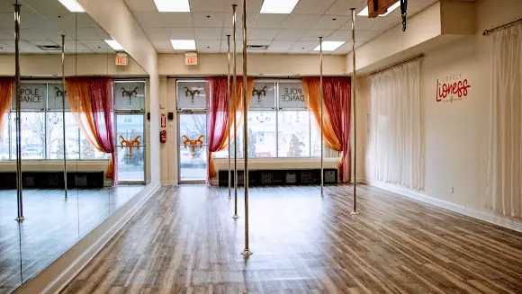 Lovely Lioness Pole Dance & Aerial Fitness Picture 7