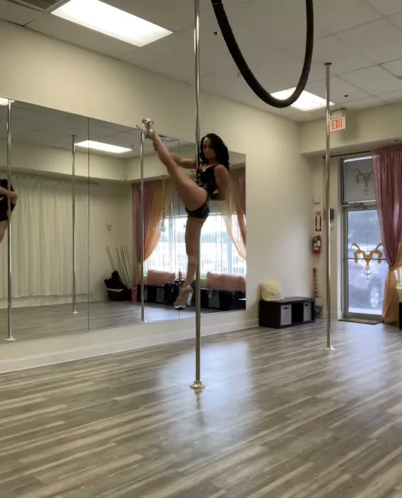 Lovely Lioness Pole Dance & Aerial Fitness Picture 8