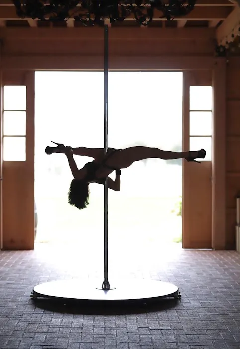 Lovely Lioness Pole Dance & Aerial Fitness Picture 9