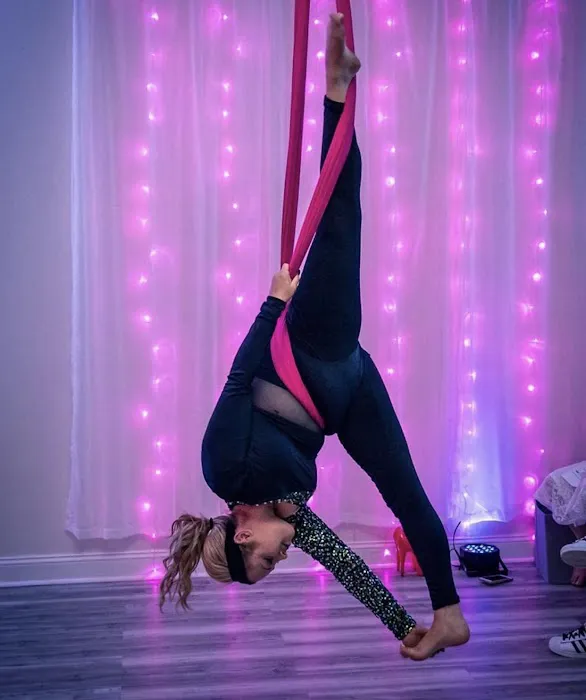 Lovely Lioness Pole Dance & Aerial Fitness Picture 2