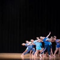 Irene’s Dance Institute ico