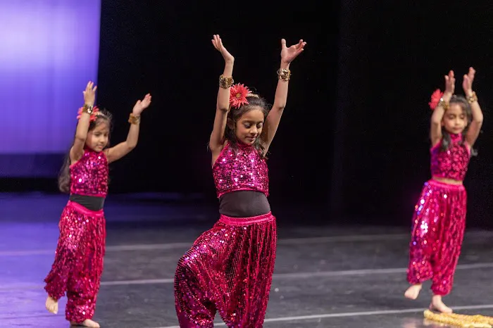 Shivaay Dance Academy Picture 10