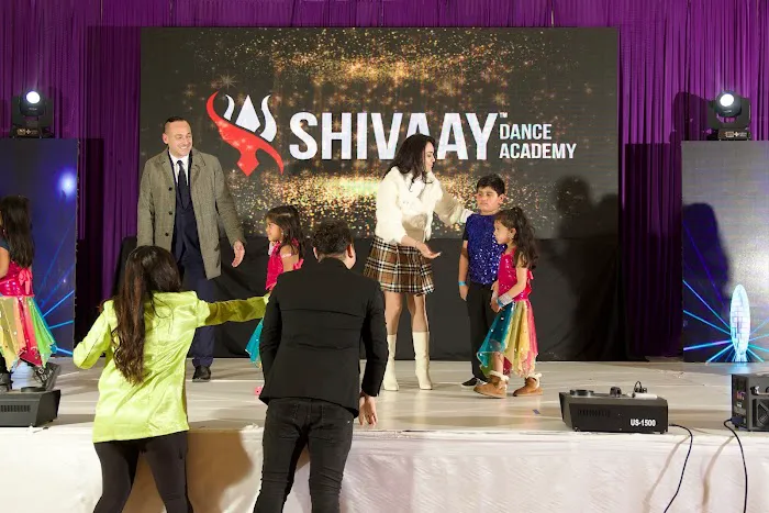 Shivaay Dance Academy Picture 2