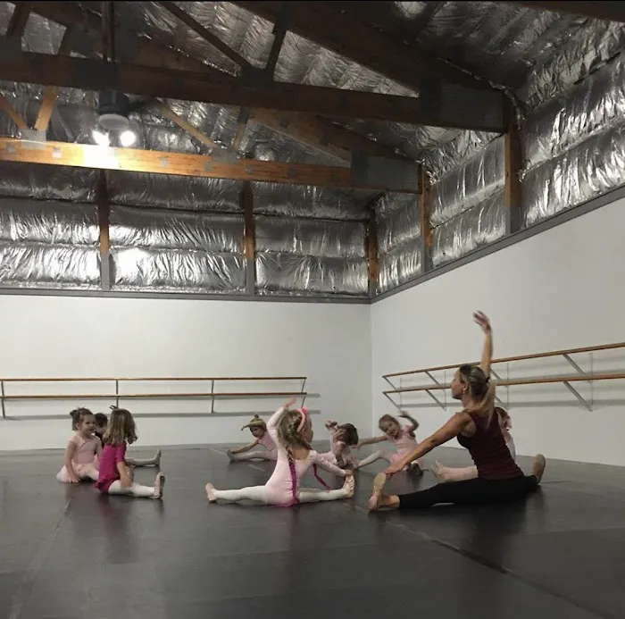 Dance Exposure II Picture 9