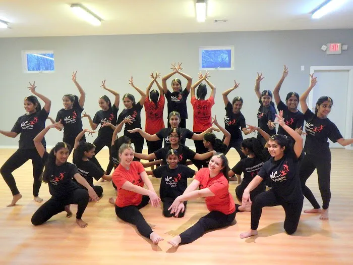Nritya Creations Academy of Dance Picture 5