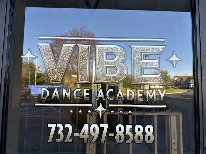 Vibe Dance Academy Picture 4