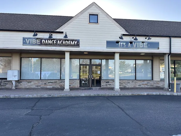 Vibe Dance Academy Picture 1