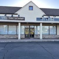 Vibe Dance Academy ico