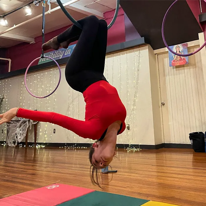 Flexibility in Flight Picture 5