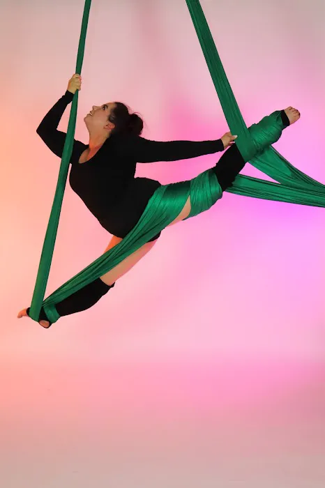 Flexibility in Flight Picture 3