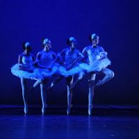 Orange County School of Dance ico
