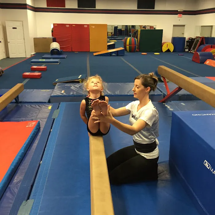 Kennett School of Gymnastics Picture 3