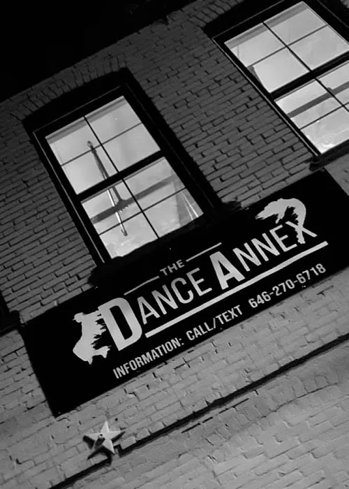 The Dance Annex Picture 5