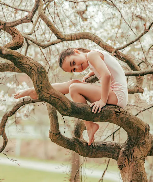 The Studio School of Dance Picture 4