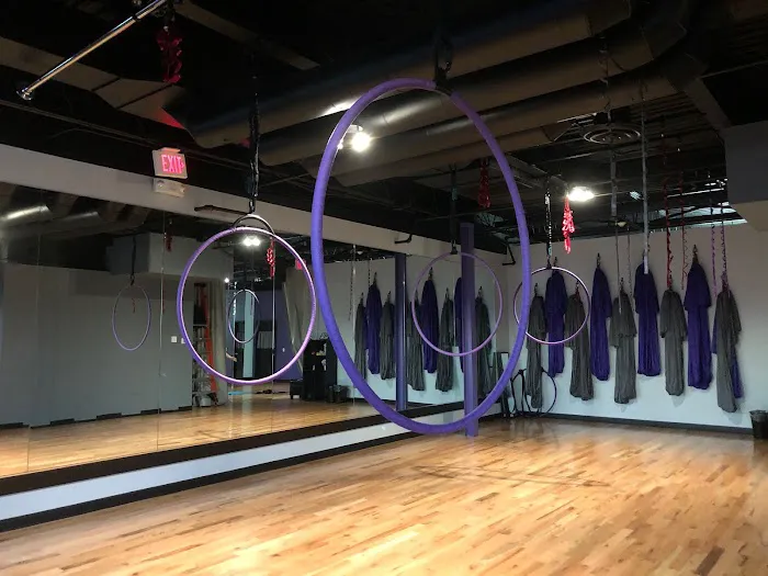 Empowered Aerial Fitness Picture 6