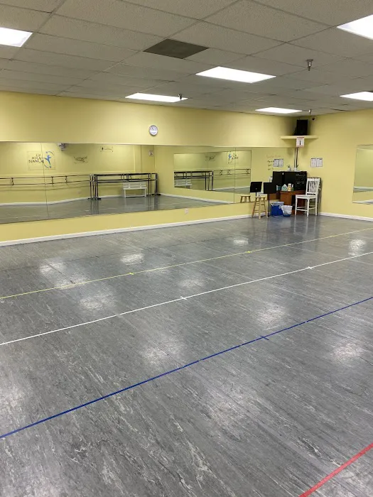 All for Dance Picture 6