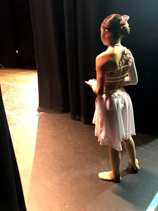 Evolution Dance and Performing Arts Academy LLC Picture 4