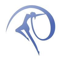The Dance Network ico
