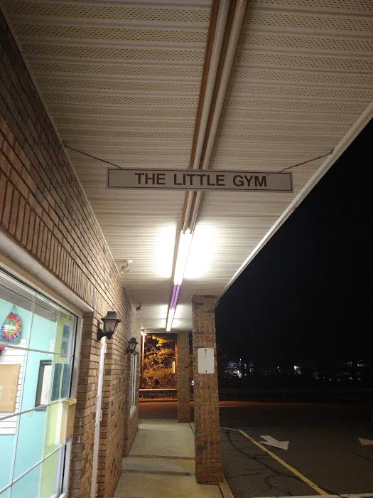 Little Gym of West Windsor Picture 3