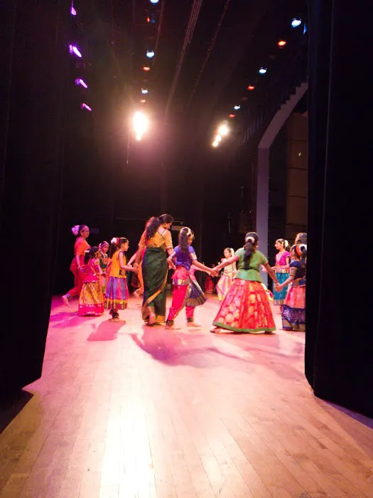 Shishya School Of Performing Arts Picture 4