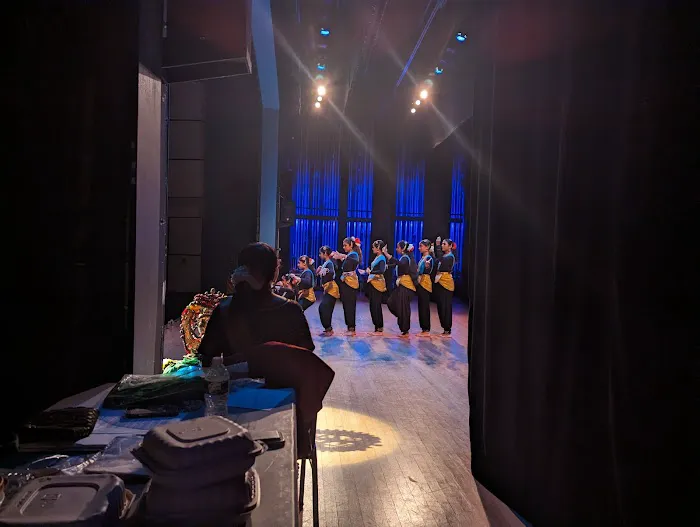 Shishya School Of Performing Arts Picture 2