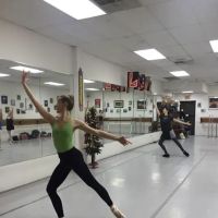 New York Dance by Design ico