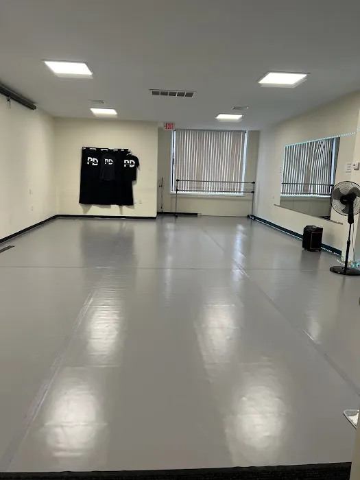 Precision Dance Picture 7