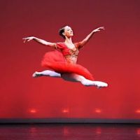 Nardi Dance Studios-Gymnastics ico