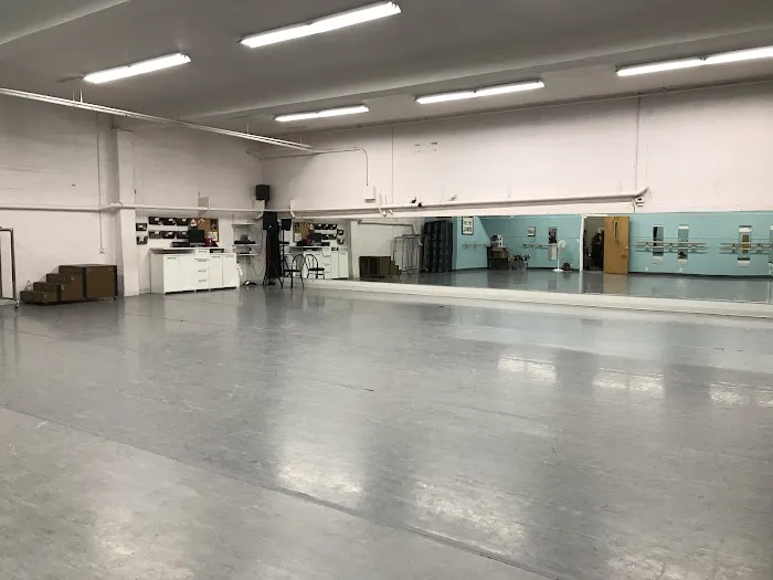 Art of Dance Picture 2