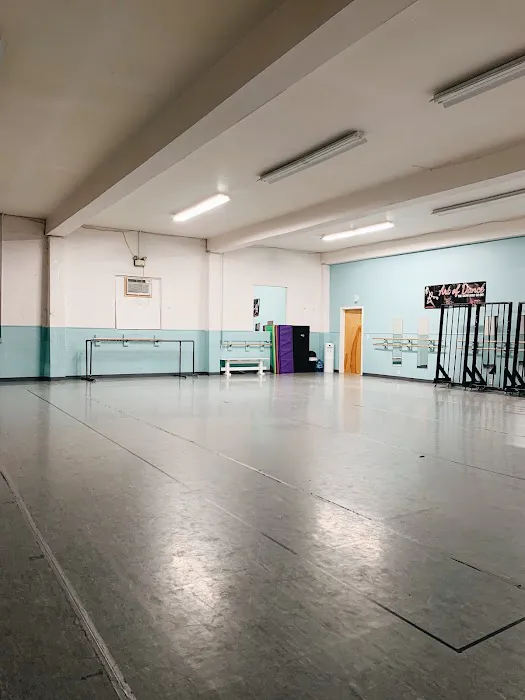 Art of Dance Picture 3