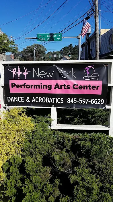 New York Performing Arts Center Picture 6