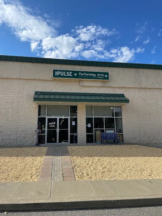 Pulse Performing Arts Studio Picture 6