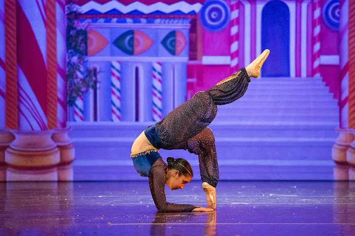 Northern Westchester School of Dance Picture 7