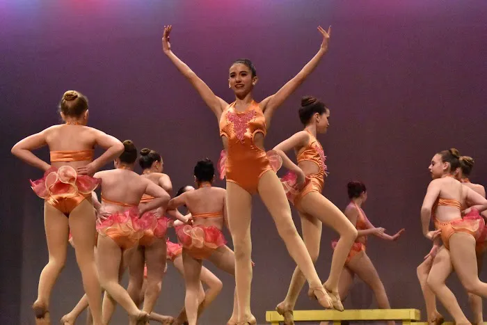 Seven Star School of Performing Arts Picture 7
