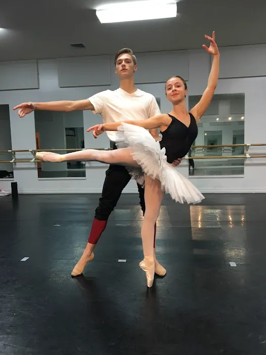 Seven Star School of Performing Arts Picture 9