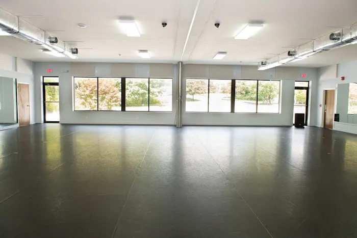 Seven Star School of Performing Arts Picture 4