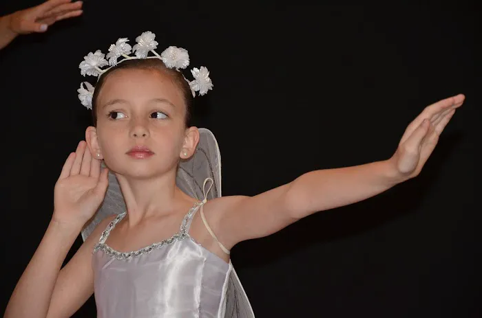 Bay Head School of Ballet and Violin Picture 2