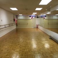 Workshops In Dance ico