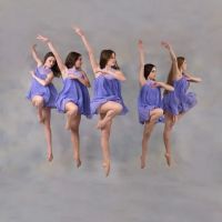 Dance Arts Collaborative LLC ico
