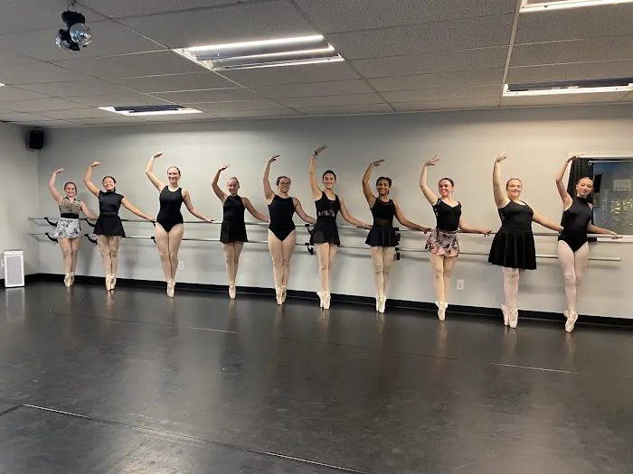 Cartesion Dance Academy Picture 3