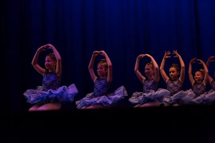 Saucon Valley Dance Conservatory Picture 2